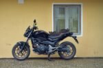 Posso levar meu gato para andar de moto